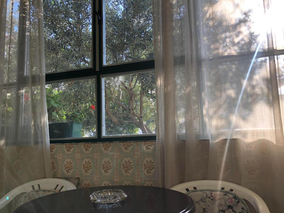 Garden Apartman Split Dış mekan fotoğraf